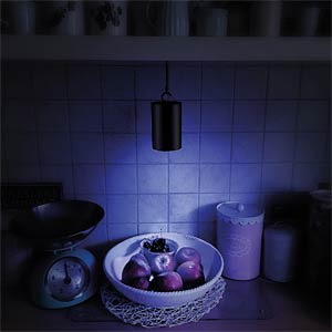 Détecteur d'insectes à LED UV mobile